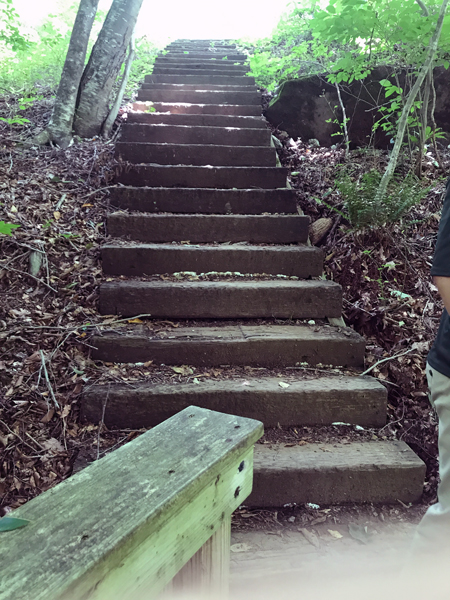 stairs up to resume the Segway tour